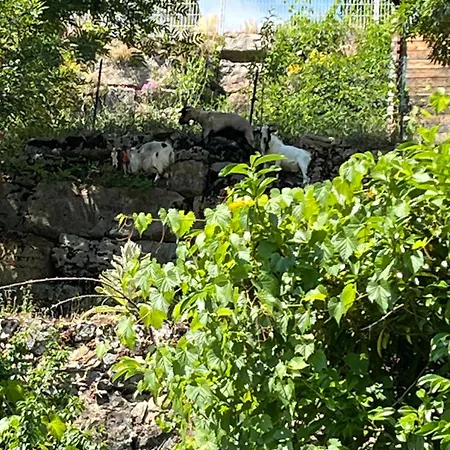 Lägenhet De Coussanne 3 Espalion