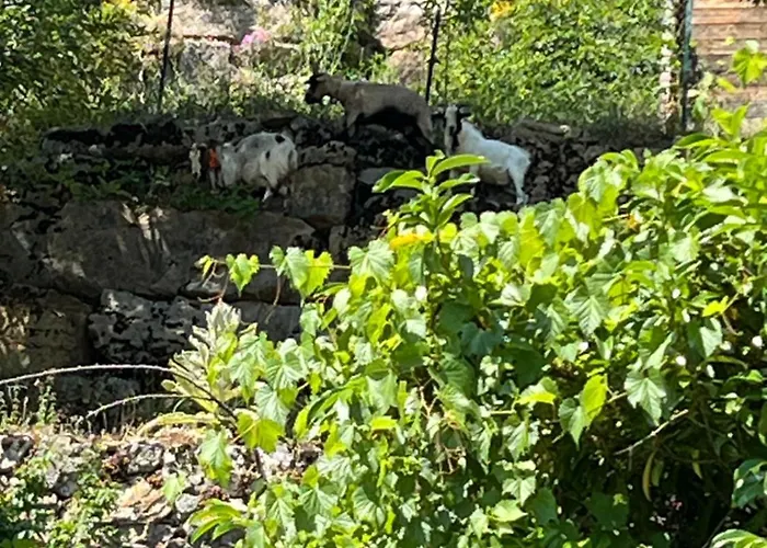 Apartamento De Coussanne 3 Espalion